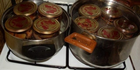 Kako skuvati kompot od jagoda i jabuka